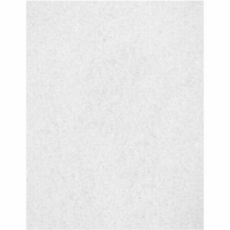 BSC PREFERRED Genuine Joe Floor Pads, f/Polishing, 14inx20in, White, 5PK GJOH8054